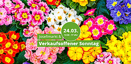 Banner Josefimarkt