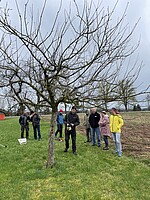 Logo Praxisseminar ,,Winterschnitt an Obstgehölzen