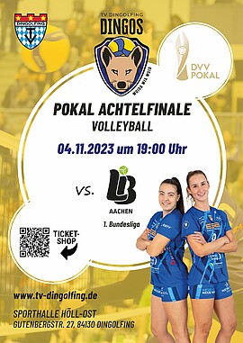 Banner DVV Pokal Achtelfinale Volleyball