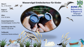 Banner Wasservögel-Entdeckertour für Kinder