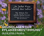 Logo Grünes Klassenzimmer