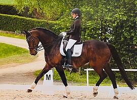 Banner Dressurturnier des Reit-und Fahrvereins Amsham