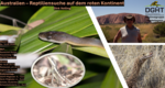 Logo Online: Australien – Reptiliensuche auf dem roten Kontinent - Dirk Volling