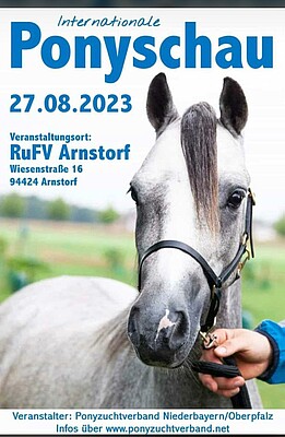 Banner Internationale Ponyschau