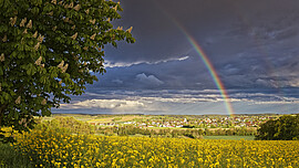 Banner UnternehmerSchule Dingolfing-Landau - Seminar 2