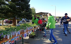 Banner Frühjahrs-Gartenkirta