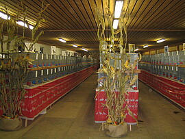 Banner Kreisschau 2011