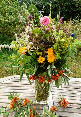 Banner Kräuter von dahoam umanand zu Mariä Himmelfahrt (15.08.)