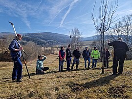 Banner Modul 7 - Ausbildung Streuobstwiesenberater: Baumgesundheit