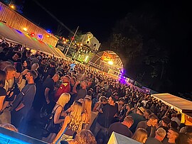 Banner Beachparty