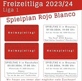 Banner Heimspieltag Volleyball Freizeitliga - Rojo Blanco