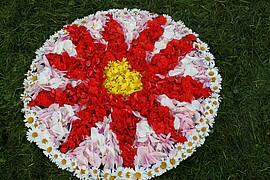 Banner Wocheninfo KW 48