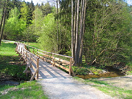 Banner Waldbaden im Park – Energie tanken bei einem Herbstwaldbad