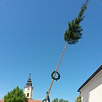 Logo Maibaumaufstellen
