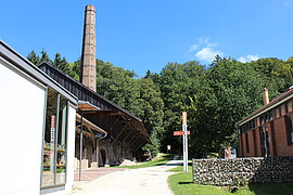 Banner Muttertag - Alle Mütter haben freien Eintritt