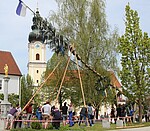 Logo Maibaumaufstellen 2020