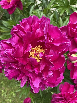 Banner Gottesdienst am Pfingstsonntag