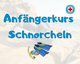 Banner Anfängerkurs Schnorcheln