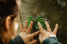 Banner kreativ im Wald