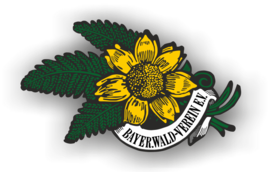 Banner Leichte Herbstwanderung vom Klinikum Hausstein