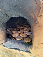 Logo Archäologie-Club 