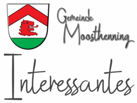 Banner Vereinsportalschulung