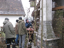 Banner Weinrebenschnittkurs