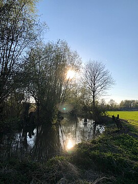 Banner Information - Hospizbegleiter-Ausbildung 2025