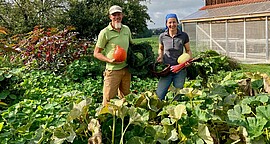 Banner Marktgärtnerei – Das Comeback der Kleinstruktur