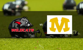 Banner Seniors Heimspiel gegen die Munich Cowboys 2