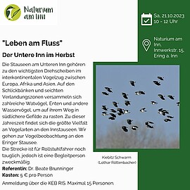 Banner Leben am Fluss: der Untere Inn im Herbst