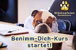 Logo Neue Benimm-Dich-Gruppe startet am 07.04.2023