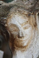 Logo Ausstellung + Friedenskaffee