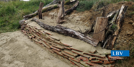 Banner Pflanze mit uns: Ein wildes Staudenbeet mit Vielfalt für Natur & Tiere! - Veranstaltung für Kinder und Jugendliche