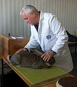 Logo 02.12.2018 Tischbewertung Groß und Kleinsilberclub in Ganacker 