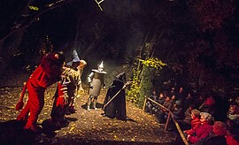 Banner Musical - Der Zauberer von Oz