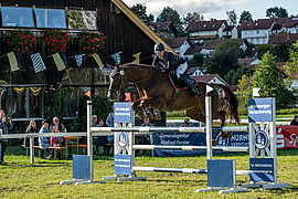 Banner Michaeli Dressur- und Springturnier