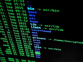 Banner Google Files: Digitale Ordnung, Datensicherheit & Privatspähre