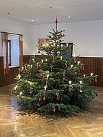Logo Christbaumversteigerung 