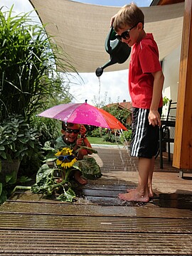 Banner Prämierung Fotos Sonnenblumenkinder
