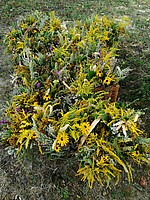 Logo Kräuterbuschenbinden