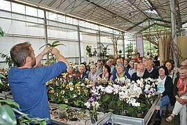 Banner Tagesausflug nach Bad Aibling zum Blumenhof Kefer