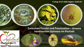 Banner Zwischen Furcht und Faszination – Unsere heimischen Spinnen im Portrait