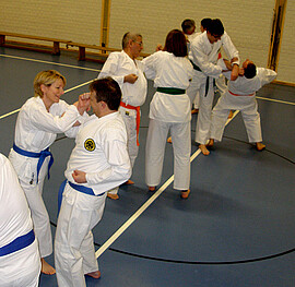 Banner Karate Neueinsteigerkurs für Erwachsene ab 18 Jahre