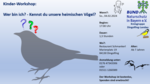 Logo Kinder-Workshop: Kennst du unsere heimischen Vögel?