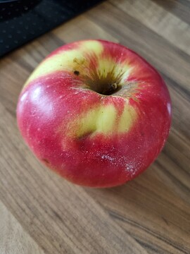 Banner Begleitete Fastengruppe nach Buchinger 