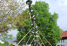 Banner Maibaumaufstellen