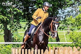 Banner Working Equitation Kurs mit Katrin Frankenberger