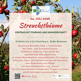 Banner Sommerschnitt für Streuobstbäume