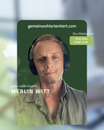 Logo Online: Webinar mit Merlin Witt: Dein Erfolgs-Mindset – Erfolg beginnt im Kopf